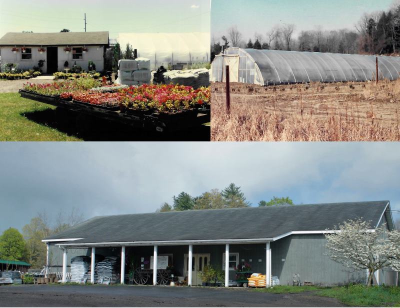 Lehman Nursery Then and Now