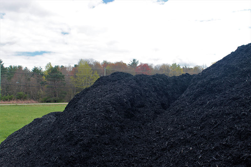 Black Mulch
