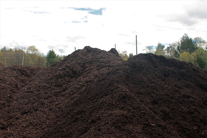 Mulch Dyed Brown