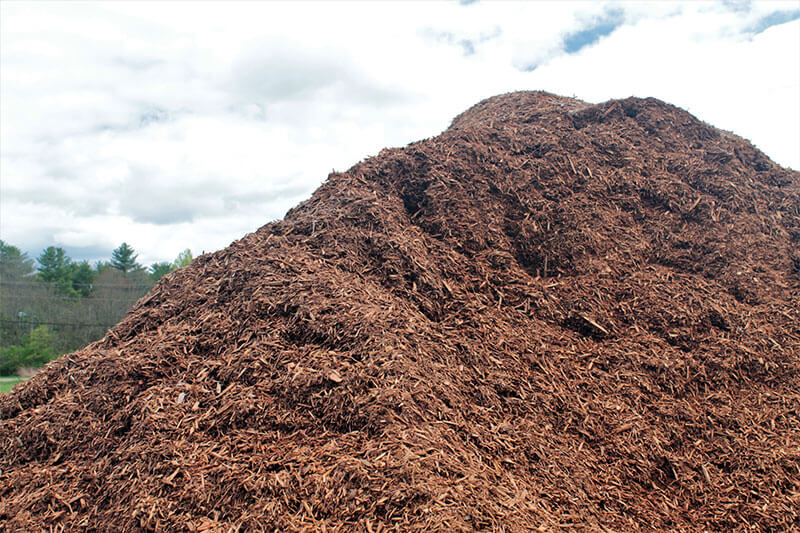 Hemlock Mulch