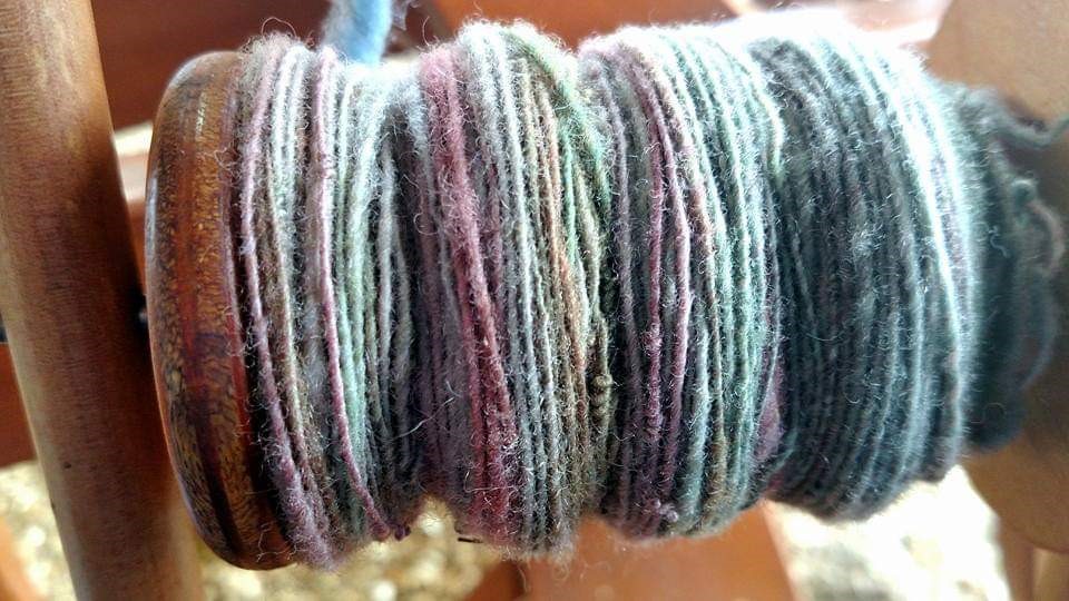 Fall Spinning Day